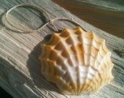 Image of Shell Soap on a Rope 