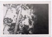 Image of SHIRTLESS MAN CLIMBS UP ROPE LOOKS DOWN SHADOWS