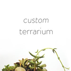Image of custom terrarium