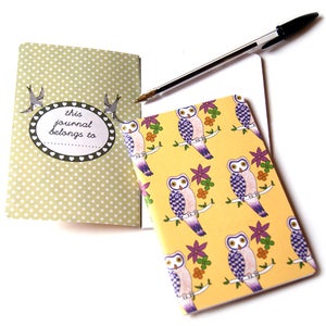 Image of Mysterious Owl Notebook