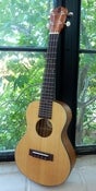 Image of Sailor Brand Tenor SPC-T