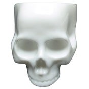 Image of Old Skull Ring