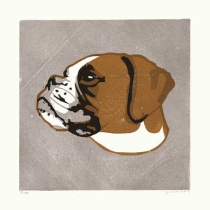 Image of BELLE (Boxer)
