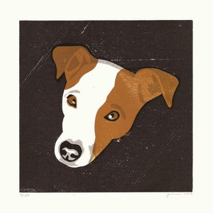 Image of CAPTAIN (Jack Russel)