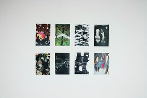 Image of Natural Means 4x6 Prints (8)