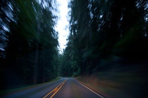 Image of Woodsy Drive