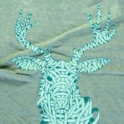 Image of Deer: Lime
