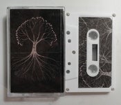 Image of Adaje / Shark Bait - Split CS