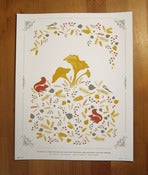 Image of Chanterelle Hunting