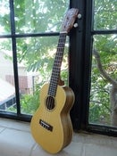 Image of Ohana Spruce/Zebrawood Concert w/ Bag