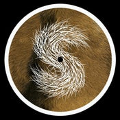 Image of Strings of Consciousness - Sonic Glimpses/Sirenade 'Round Midnite