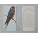 Image of bird card
