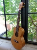 Image of LoPrinzi AC-T Special Cherry Tenor