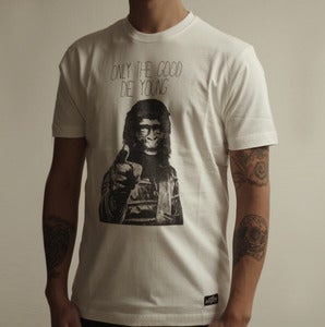 Image of APE W