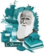 Image of Darwin print
