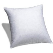 Image of down pillow insert