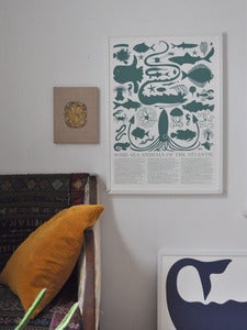 Image of Atlantic Sea Animals Print