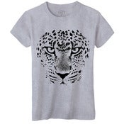 Image of Leopard