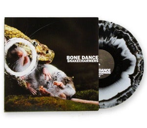 Image of Snakecharmers 12"