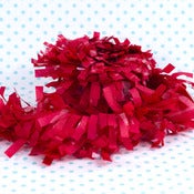Image of Red Party Fringe