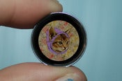 Image of Hipster Cat Plugs!