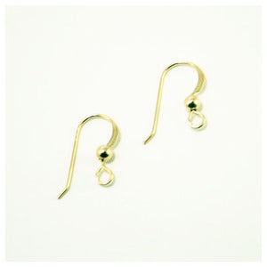 Image of 14k Gold Filled Earring Hooks