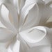 Image of Bloom