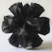 Image of Bloom