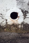 Image of Around the Rabbit Hole