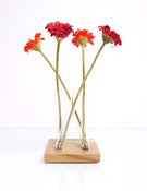 Image of Adaptation-square/wood