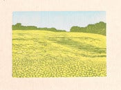 Image of Sunflowers Reduction Woodcut
