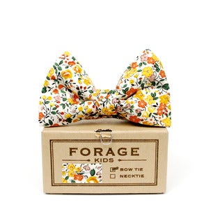 Image of harvest {kids bow tie}