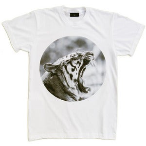 Image of All Kings Die - Roar