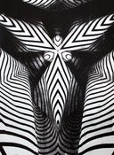 Image of Monochrome 2 - Handpulled silkscreen print