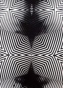 Image of Monochrome 5- Handpulled silkscreen print