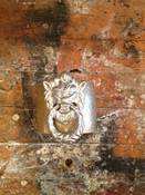 Image of Silver Door Knocker Cuff