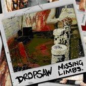 Image of Missing Limbs CD