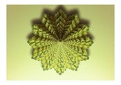 Image of Lemon Balm Fractal.