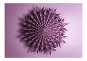 Image of Chinese Leaf Fractal.