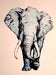 Image of LDP Elephant Hand Painted Screen Print