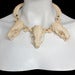 Image of Mink Skull Trio and Rattlesnake Vertebrae Necklace