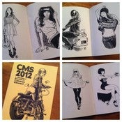 Image of CMS 2012