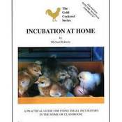 Image of Incubation at Home by Michael Roberts