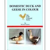 Image of Domestic Ducks & Geese in Colour by Michael Roberts