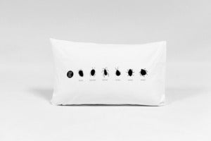 Image of Know your bed bugs Pillowcase