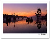 Image of Reflecting on a Basin Sunrise
