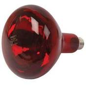 Image of Infra-Red Lamp (Ruby red) Bulb 150W
