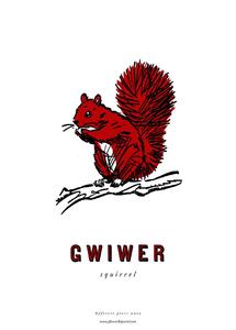 Image of fforest cymraeg: gwiwer 