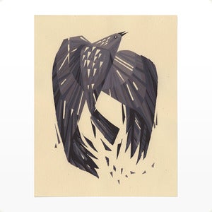 Image of Blackbird