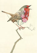 Robin in a Winter Landscape - Card